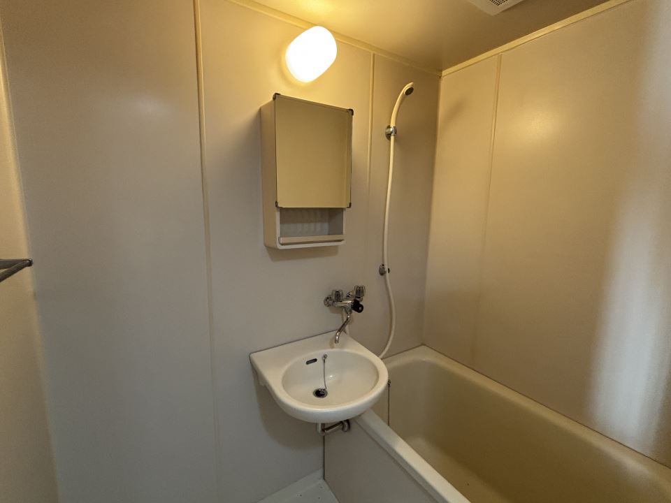 バス・シャワールーム　鏡は収納になっています