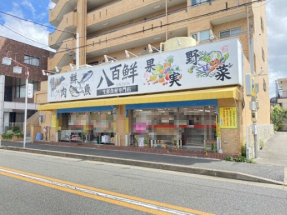スーパー　生鮮食材専門店　八百鮮　川原通店（スーパー）まで573m