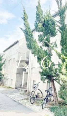 その他共有部分　共用階段です。