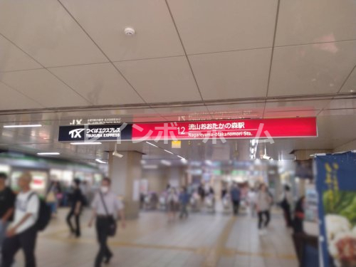 その他　流山おおたかの森駅（その他）まで1964m