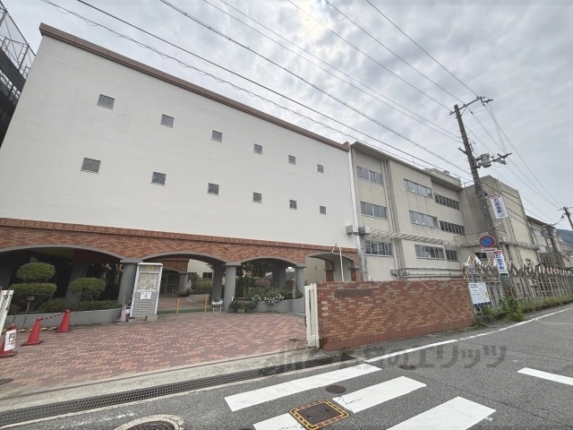 小学校　宝塚市立宝塚小学校（小学校）まで700m