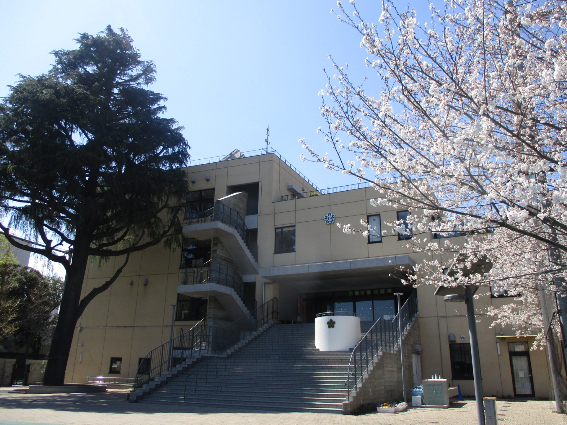 小学校　豊島区立目白小学校（小学校）まで469m