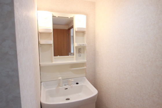 洗面設備　※別号室の写真です