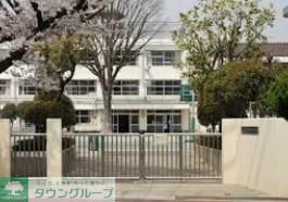 小学校　世田谷区立桜町小学校（小学校）まで748m