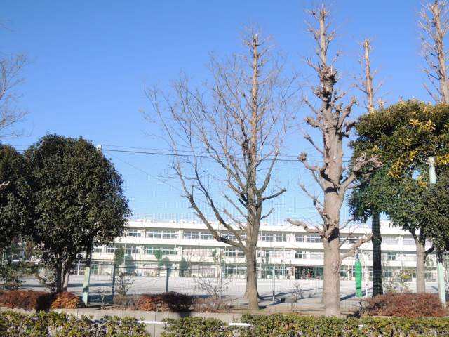 中学校　高島第三中学校（中学校）まで538m