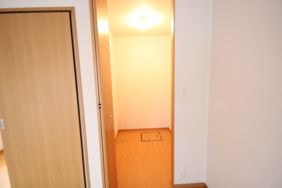 収納　※別部屋の写真です