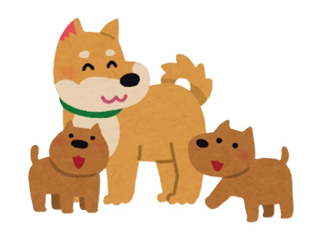 その他　☆小型犬2匹まで飼育相談可☆