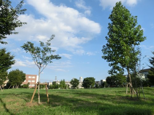 公園　中村かしわ公園（公園）まで299m
