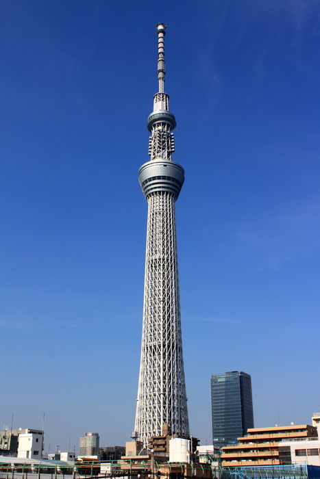 ショッピングセンター　そらまち（ショッピングセンター）まで1600m