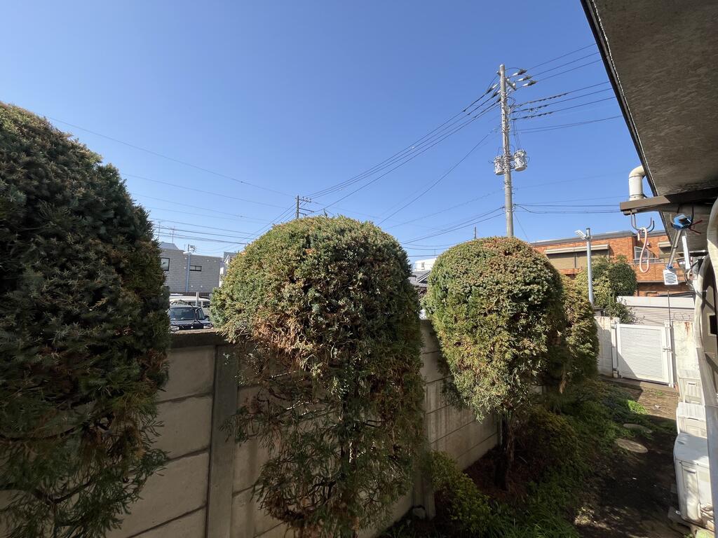眺望