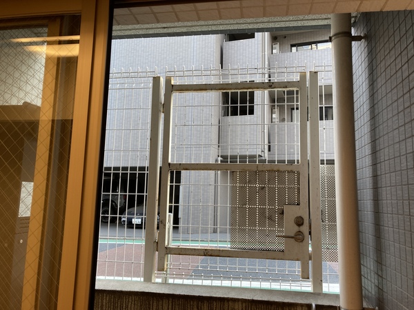 眺望　目線は半地下です