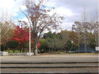 公園　宇都宮駅東公園（公園）まで485m