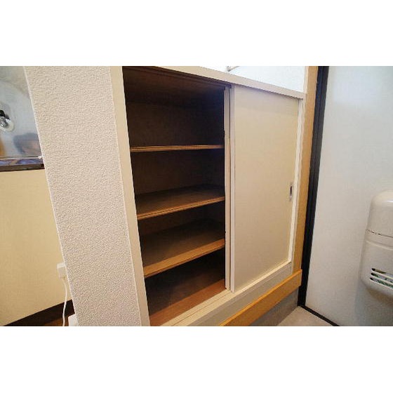 その他　※反転タイプあり。現状優先です。