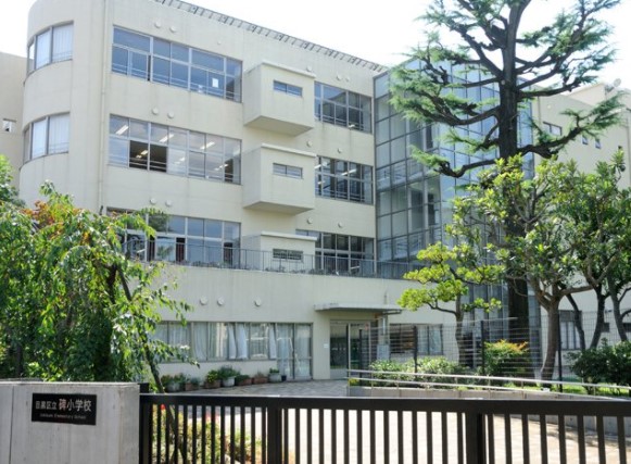 小学校　目黒区立碑小学校（小学校）まで539m