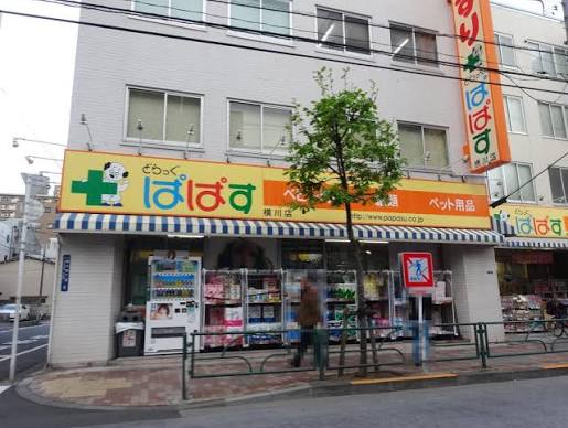 ドラックストア　どらっぐぱぱす横川店（ドラッグストア）まで98m