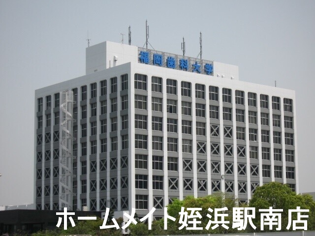 大学・短大　福岡歯科大学（大学・短大）まで1095m