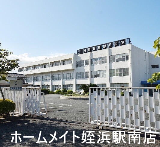 大学・短大　福岡医療短期大学（大学・短大）まで1250m