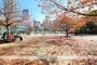 公園　難波中公園（公園）まで150m