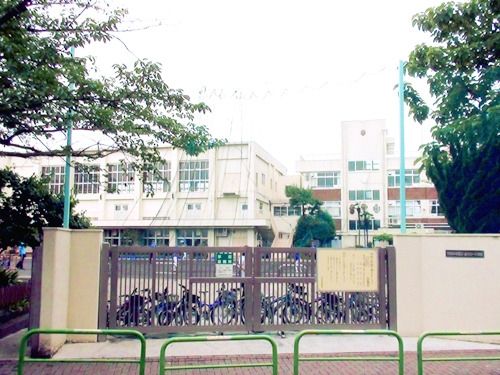 小学校　新井第一小学校（小学校）まで303m