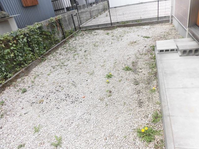 庭