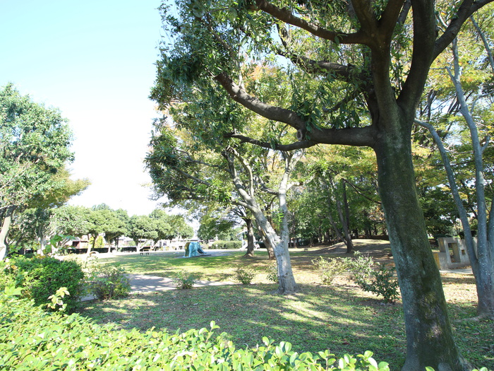 公園　千間台第４公園（公園）まで800m