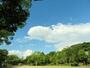 公園　鶴ケ谷中央公園（公園）まで980m