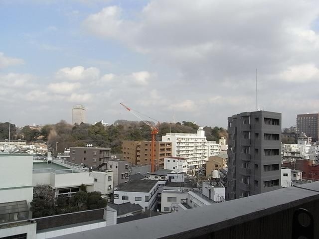 眺望　バルコニーからの眺望（椿山荘ビュー）