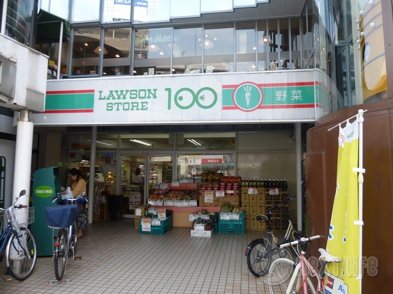 コンビニ　ローソンストア100（コンビニ）まで738m