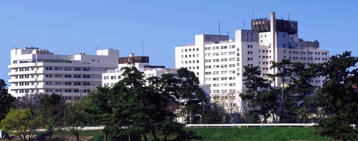 大学・短大　兵庫医科大学（大学・短大）まで1046m