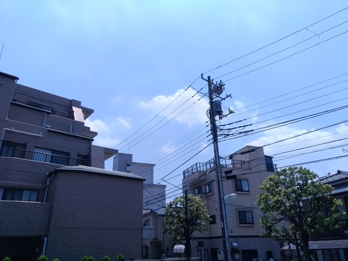 眺望