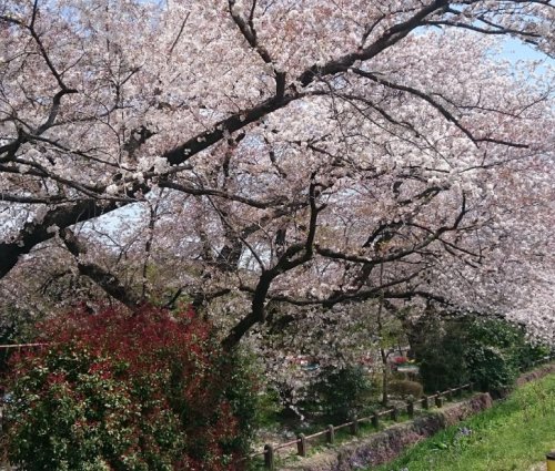 公園　元横山公園（公園）まで1040m