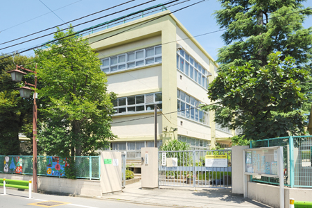 小学校　杉並区立桃井第四小学校（小学校）まで531m