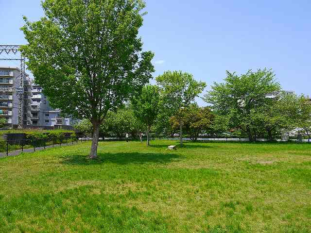 公園　芝辻町四丁目緑地（公園）まで601m