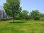 公園　芝辻町四丁目緑地（公園）まで601m