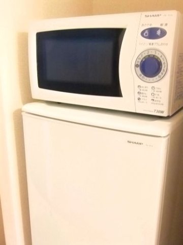 その他　冷蔵庫・電子レンジ