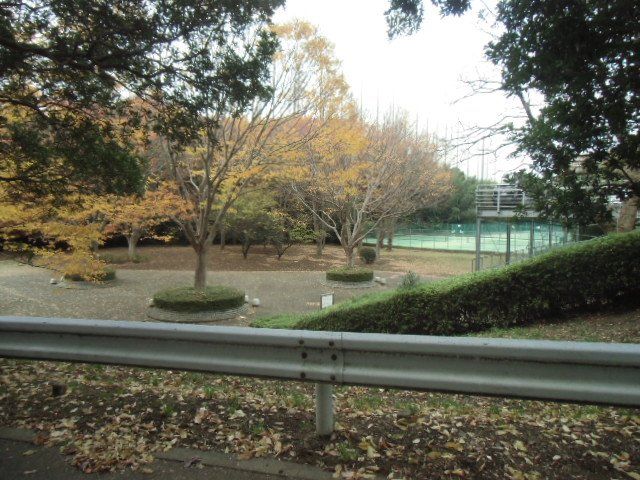 公園　村上第1公園（公園）まで2390m