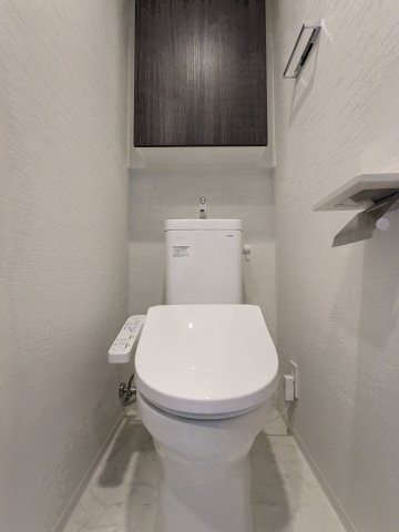 デュオステージ海老名IIのトイレ写真