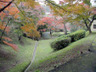 公園　南公園（公園）まで831m