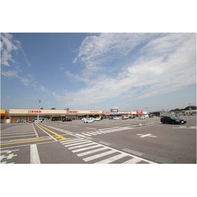 スーパー　とりせん木田余店（スーパー）まで5382m