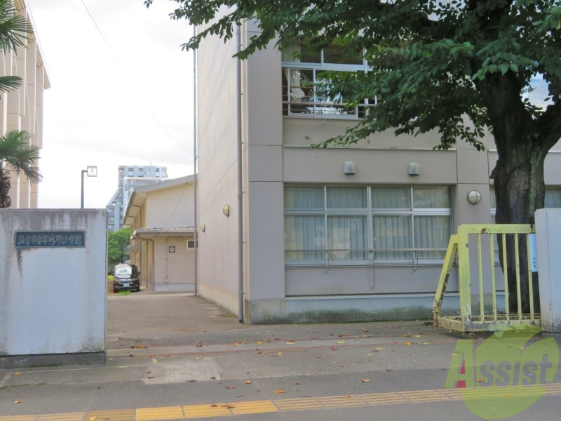 小学校　仙台市立宮城野小学校（小学校）まで531m