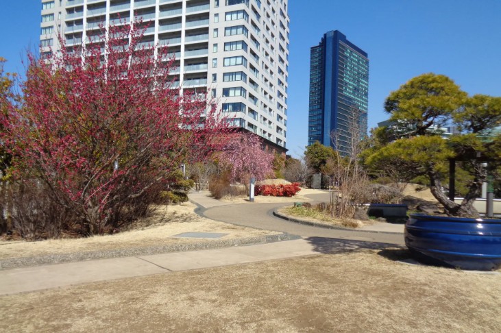 公園　目黒区立目黒天空庭園（公園）まで965m