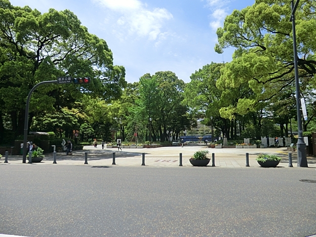 公園　横浜公園（公園）まで678m