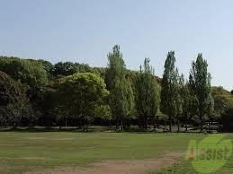 公園　千畳芝（公園）まで2308m