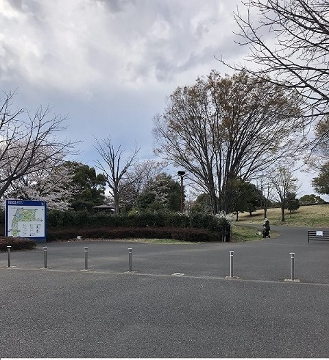 公園　昭和記念公園（公園）まで1800m