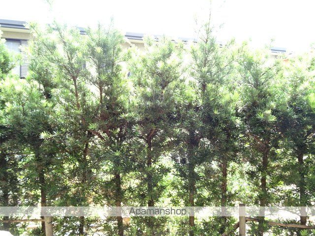 遠州鉄道 浜北駅 徒歩6分 4階建 築24年のその他写真