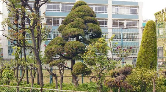 中学校　私立成女学園中学校（中学校）まで230m