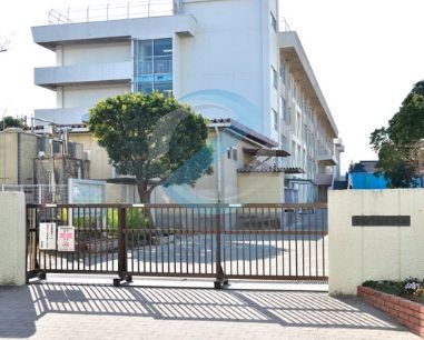 中学校　市川市立福栄中学校（中学校）まで1030m