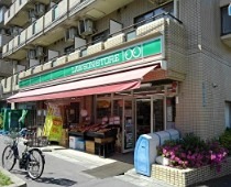 スーパー　ローソンストア100 LS品川二葉四丁目店（スーパー）まで239m