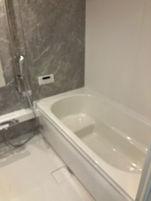 秀豊5号館の風呂写真