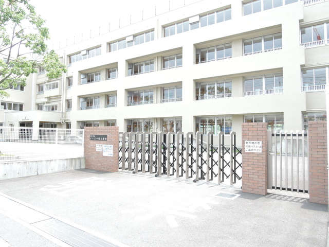 小学校　高知市立はりまや橋小学校（小学校）まで194m
